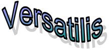 Versatilis